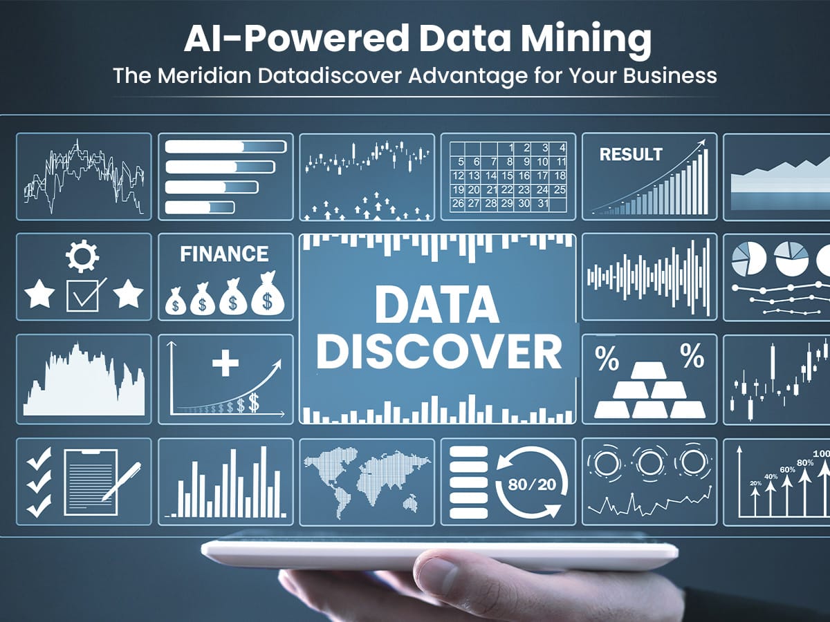 AI-Powered Data Mining The Meridian Datadiscover Advantage for Your Business