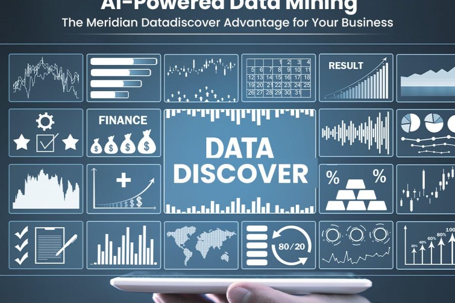 AI-Powered Data Mining The Meridian Datadiscover Advantage for Your Business